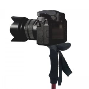 Husky SCAUP vandrestave foto